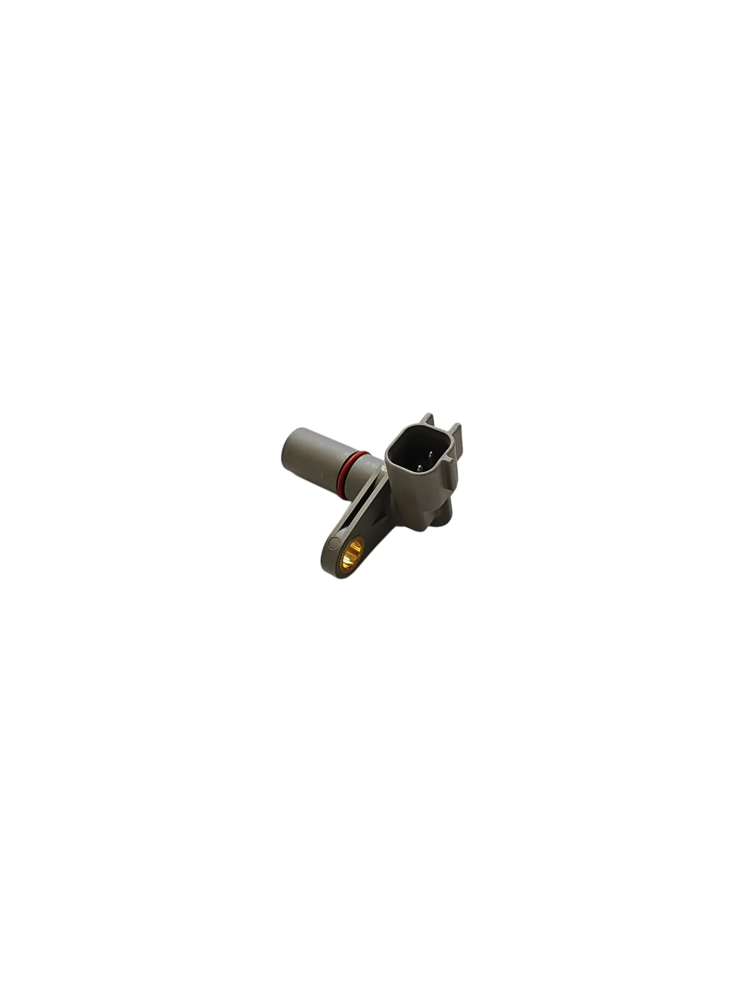 1200015756