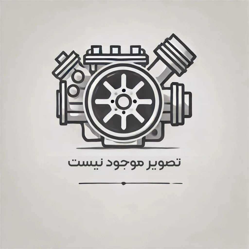 ايربگ راننده X55